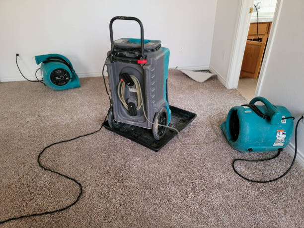 Best Local water damage restoration  in Kilmarnock, VA