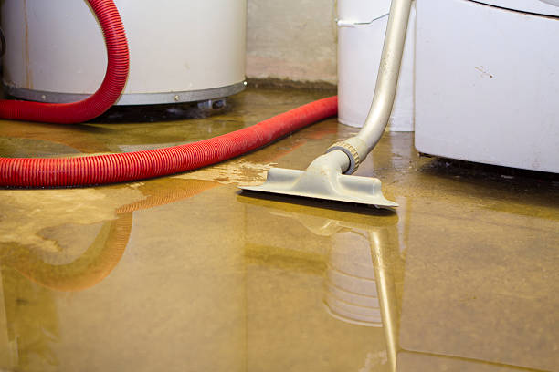 Best Sewage cleanup and water damage restoration  in Kilmarnock, VA