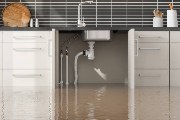 Best Mold removal after water damage  in Kilmarnock, VA
